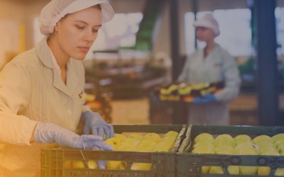 Curso de Prevención Riesgos Laborales Sector Alimentación